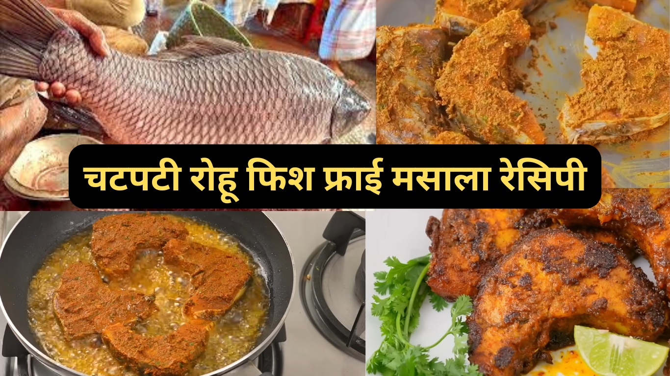 rohu fish fry masala recipe