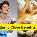Garlic Clove Benefits