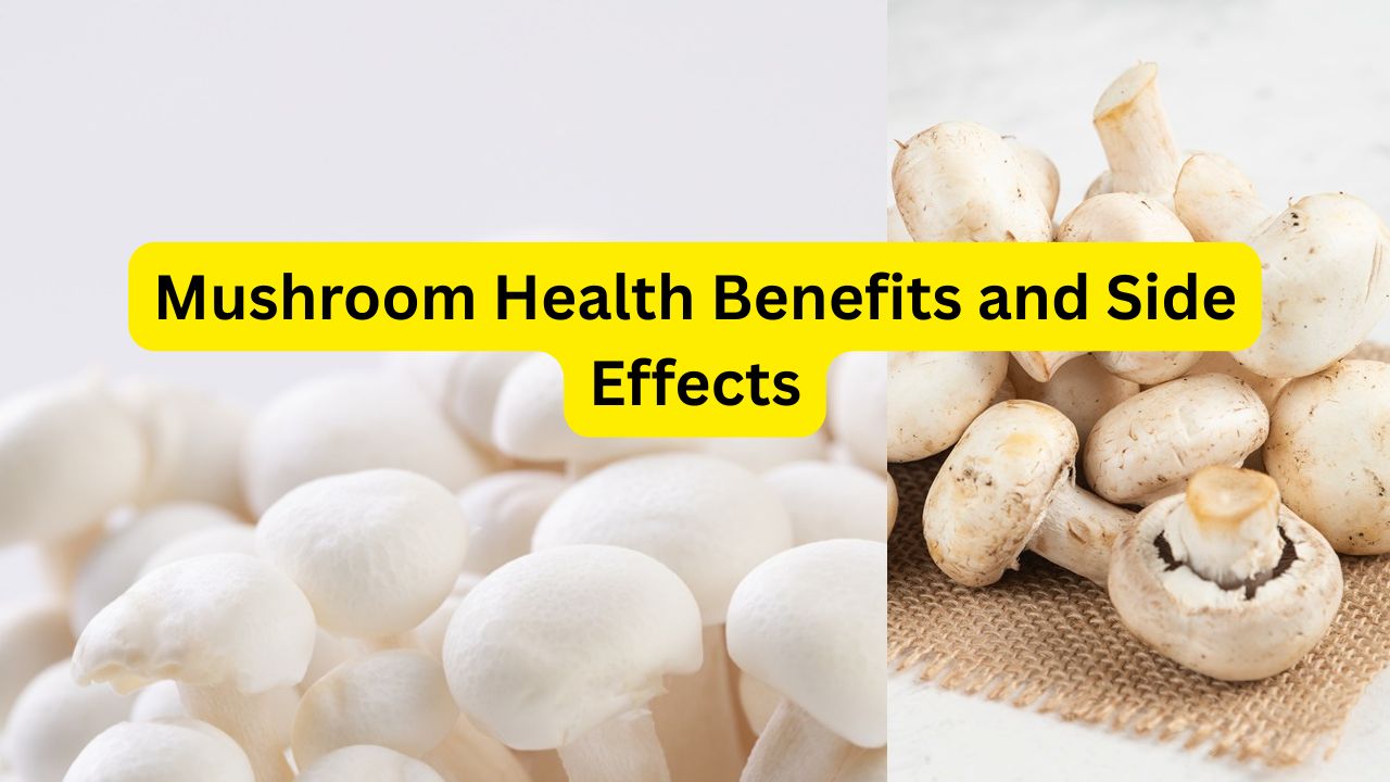 Mushroom Health Benefits and Side Effects